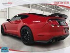 Thumbnail Photo 2 for 2016 Ford Mustang