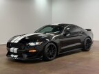 Thumbnail Photo 6 for 2016 Ford Mustang Shelby GT350