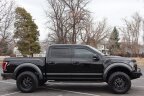Thumbnail Photo 2 for 2017 Ford F150