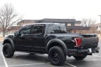 Thumbnail Photo 6 for 2017 Ford F150