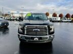 Thumbnail Photo 1 for 2017 Ford F150