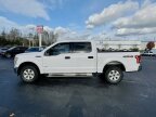 Thumbnail Photo 6 for 2017 Ford F150