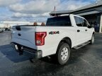 Thumbnail Photo 3 for 2017 Ford F150