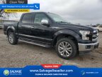 Thumbnail Photo 5 for New 2017 Ford F150