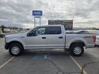 Thumbnail Photo 3 for 2017 Ford F150