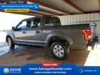 Thumbnail Photo 3 for New 2017 Ford F150
