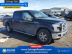 Thumbnail Photo 5 for 2017 Ford F150