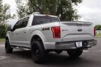 Thumbnail Photo 6 for 2017 Ford F150