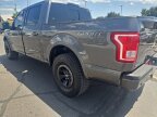 Thumbnail Photo 5 for 2017 Ford F150