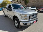 Thumbnail Photo 6 for 2017 Ford F150