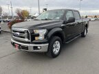 Thumbnail Photo 2 for 2017 Ford F150