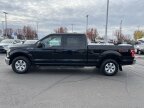 Thumbnail Photo 3 for 2017 Ford F150