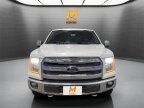 Thumbnail Photo 3 for 2017 Ford F150