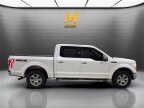 Thumbnail Photo 1 for 2017 Ford F150