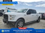 New 2017 Ford F150