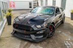 Thumbnail Photo 1 for 2017 Ford Mustang Shelby GT350 Coupe