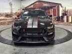 Thumbnail Photo 1 for 2017 Ford Mustang Shelby GT350 Coupe
