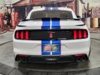 Thumbnail Photo 3 for 2017 Ford Mustang Shelby GT350 Coupe