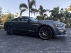Thumbnail Photo 1 for 2017 Ford Mustang
