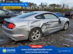 Thumbnail Photo 4 for New 2017 Ford Mustang Coupe
