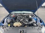 Thumbnail Photo 4 for 2017 Ford Mustang