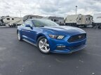 Thumbnail Photo 1 for 2017 Ford Mustang