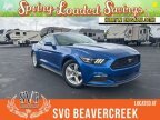 Thumbnail Photo 3 for 2017 Ford Mustang