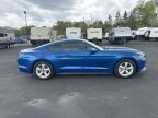 Thumbnail Photo 5 for 2017 Ford Mustang