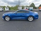 Thumbnail Photo 6 for 2017 Ford Mustang