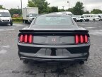 Thumbnail Photo 6 for 2017 Ford Mustang
