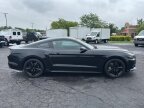 Thumbnail Photo 5 for 2017 Ford Mustang