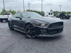 Thumbnail Photo 1 for 2017 Ford Mustang