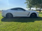 Thumbnail Photo 5 for 2017 Ford Mustang