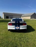 Thumbnail Photo 3 for 2017 Ford Mustang
