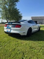Thumbnail Photo 4 for 2017 Ford Mustang