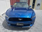 Thumbnail Photo 6 for 2017 Ford Mustang
