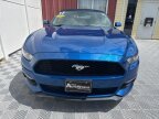 Thumbnail Photo 2 for 2017 Ford Mustang