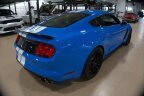 Thumbnail Photo 4 for 2017 Ford Mustang Shelby GT350