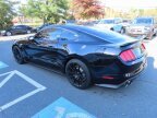 Thumbnail Photo 6 for 2017 Ford Mustang Shelby GT350