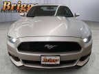 Thumbnail Photo 1 for 2017 Ford Mustang