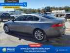 Thumbnail Photo 3 for New 2017 Jaguar XF