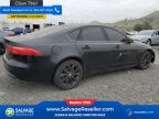 Thumbnail Photo 4 for New 2017 Jaguar XF