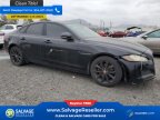 Thumbnail Photo 5 for New 2017 Jaguar XF