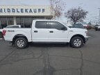 Thumbnail Photo 1 for 2018 Ford F150