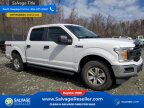 Thumbnail Photo 5 for New 2018 Ford F150