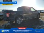 Thumbnail Photo 4 for New 2018 Ford F150