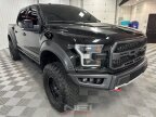 Thumbnail Photo 5 for 2018 Ford F150
