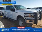 Thumbnail Photo 5 for 2018 Ford F150