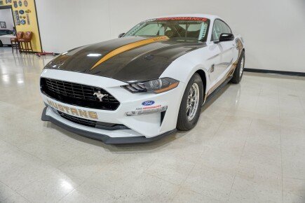 Photo 1 for 2018 Ford Mustang Cobra Coupe