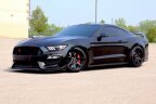Thumbnail Photo 1 for 2018 Ford Mustang Shelby GT350